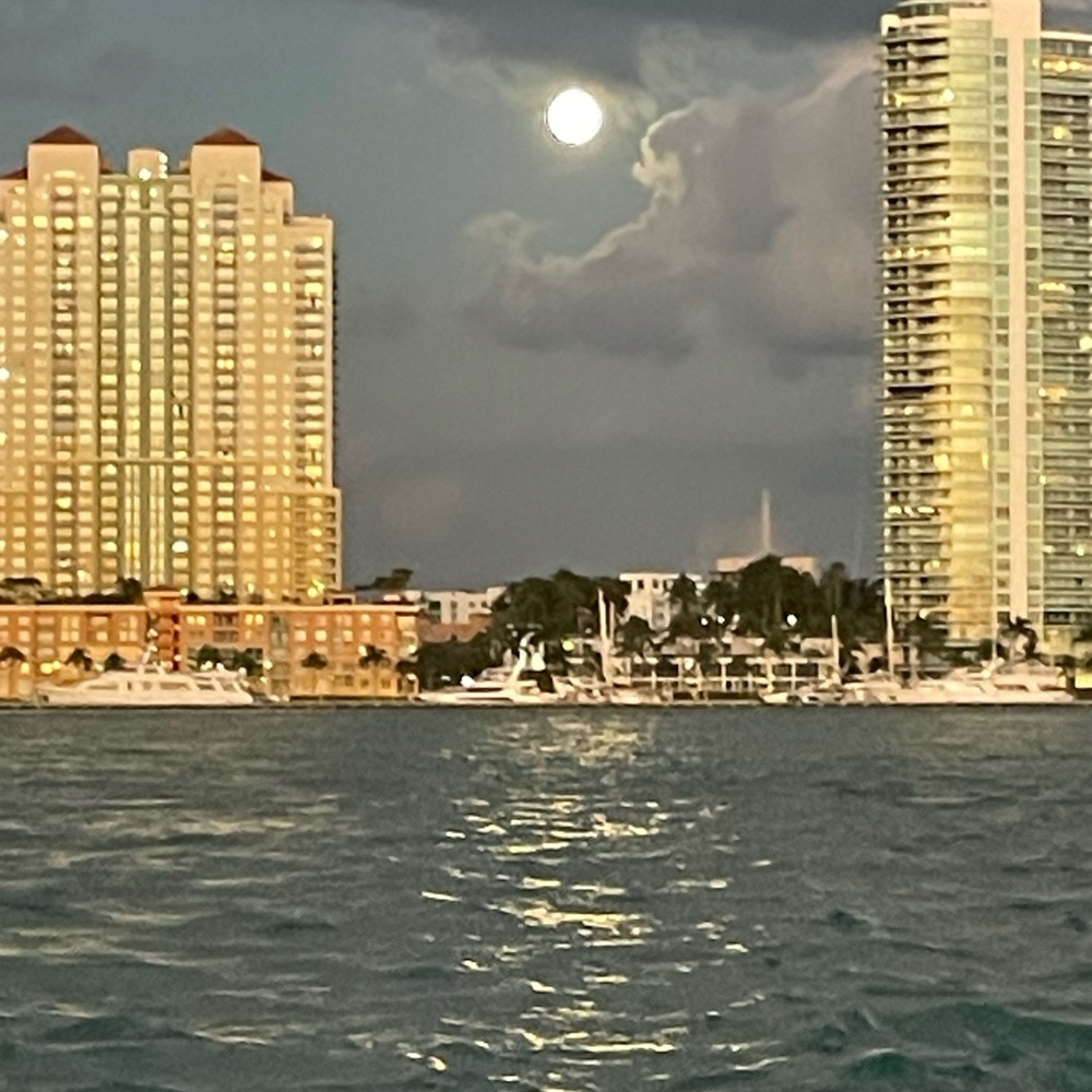 Meet your Posher, Willa